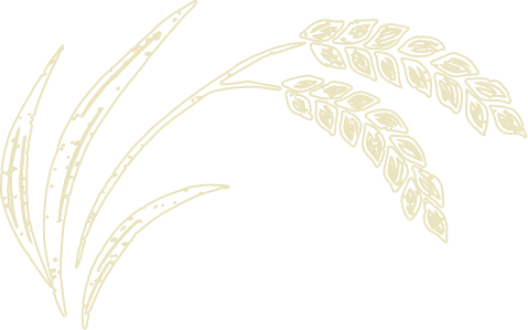 麦のイラスト